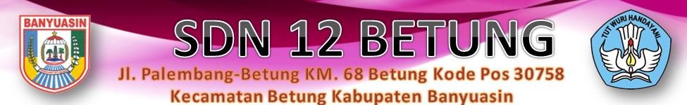 SDN 12 BETUNG